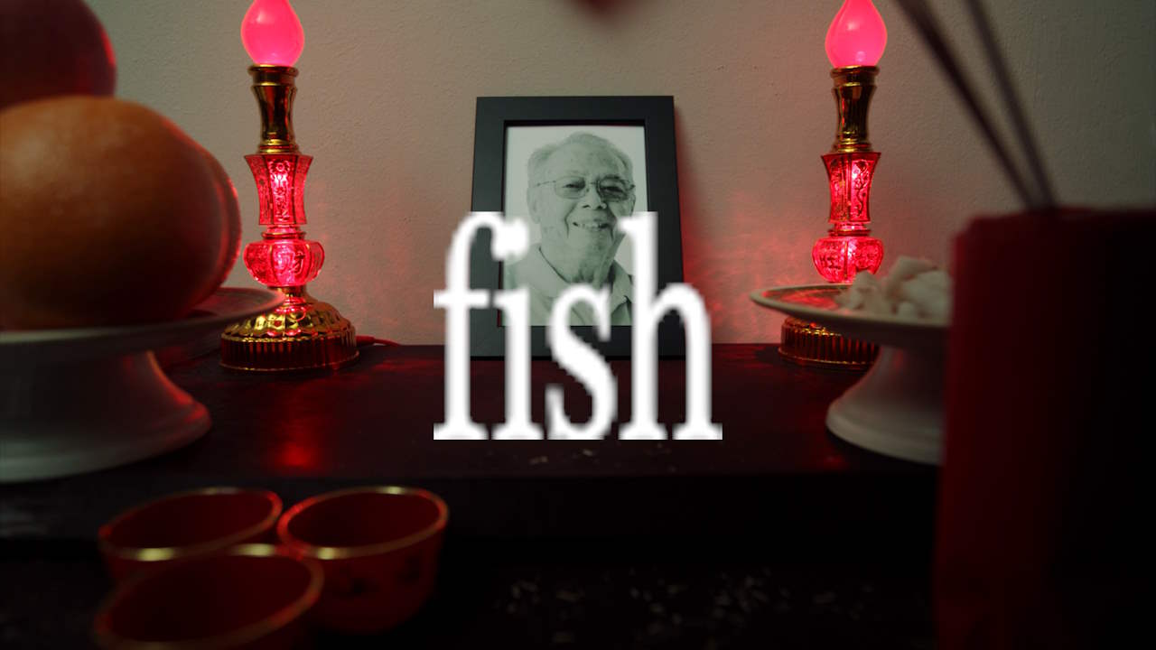fish | a Short Film
