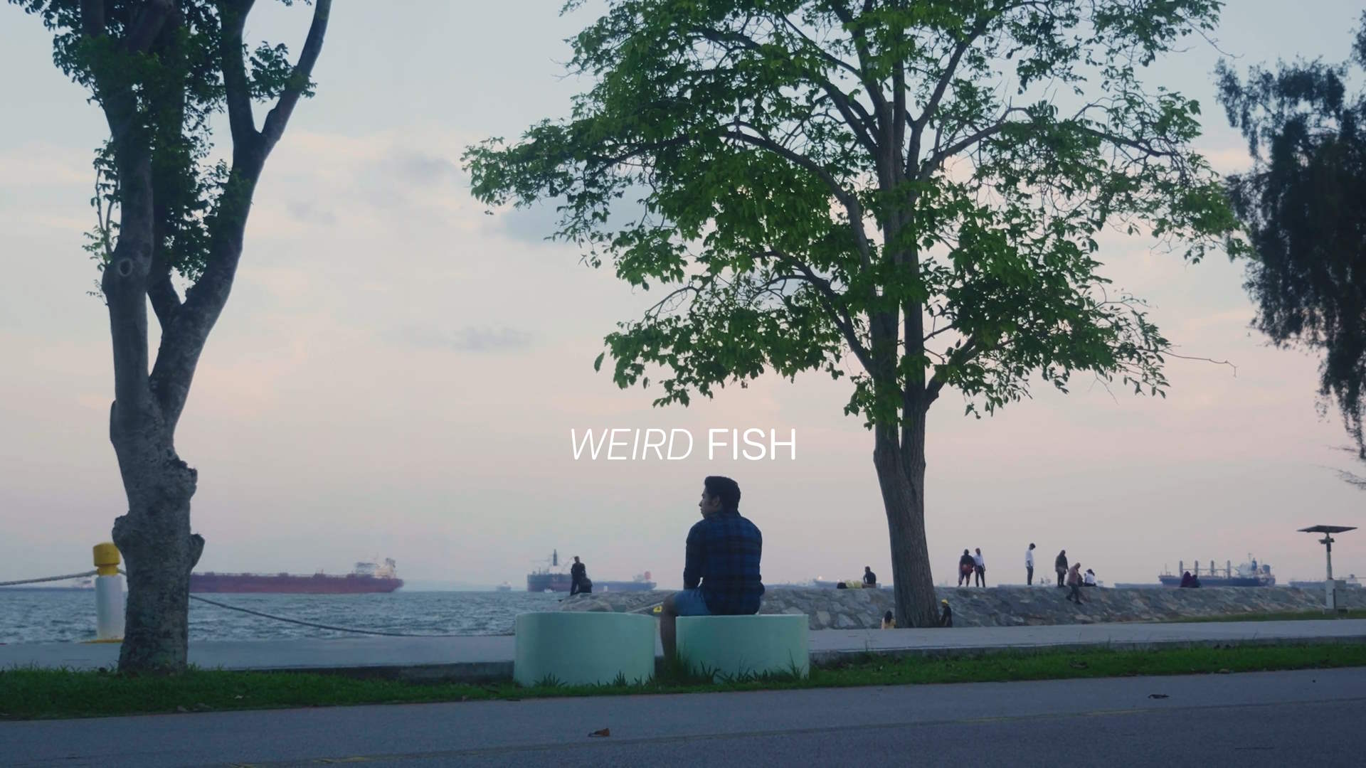 Weird Fish | a Short Film