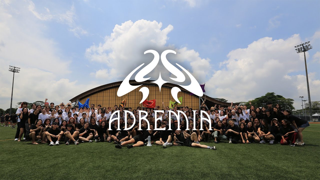 Adreamia | ADM TOP 2023